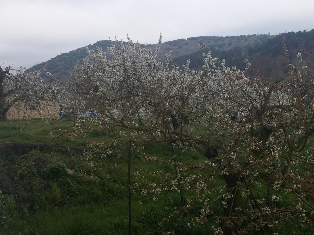 TerminonPuerta De Caderechas别墅 外观 照片